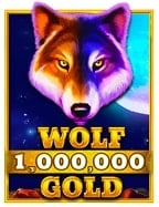 สล็อต d: ทดลองเล่นกับความสนุกที่ไม่เหมือนใคร